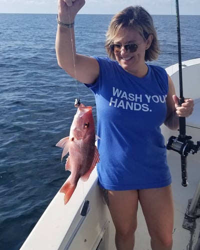 Destin Nearshore Fishing In Destin