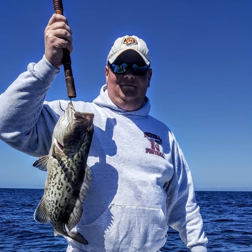 Destin Nearshore Fishing In Destin