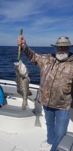 Destin Nearshore Fishing In Destin