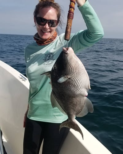 Destin Nearshore Fishing In Destin