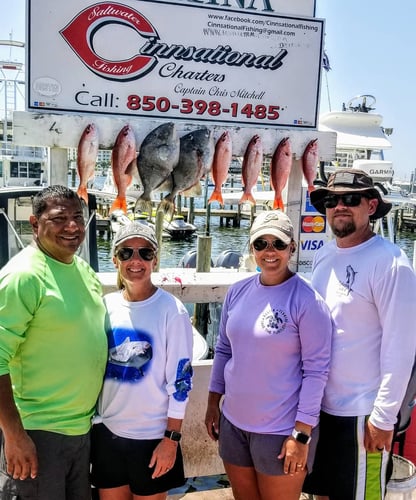 Destin Nearshore Fishing In Destin