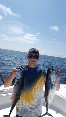 Experience Destin Fishing to the Full - 25' Cape Horn