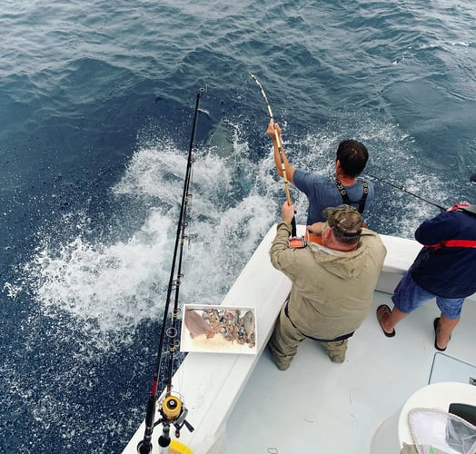 Harbor Hookup: Destin Fishing Fun In Destin