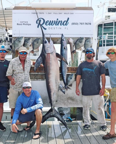 Harbor Hookup: Destin Fishing Fun In Destin