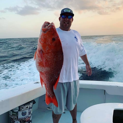 Harbor Hookup: Destin Fishing Fun In Destin