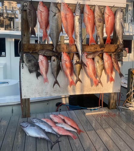Harbor Hookup: Destin Fishing Fun In Destin