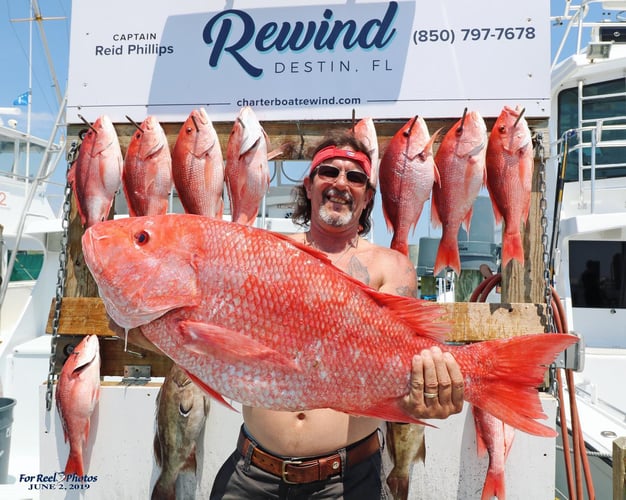 Harbor Hookup: Destin Fishing Fun In Destin