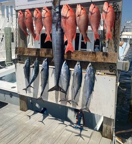 Harbor Hookup: Destin Fishing Fun In Destin