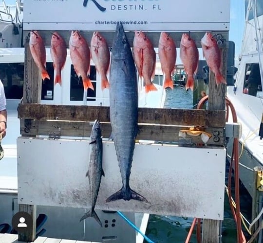 Harbor Hookup: Destin Fishing Fun In Destin