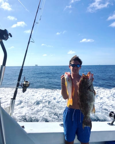 Harbor Hookup: Destin Fishing Fun In Destin