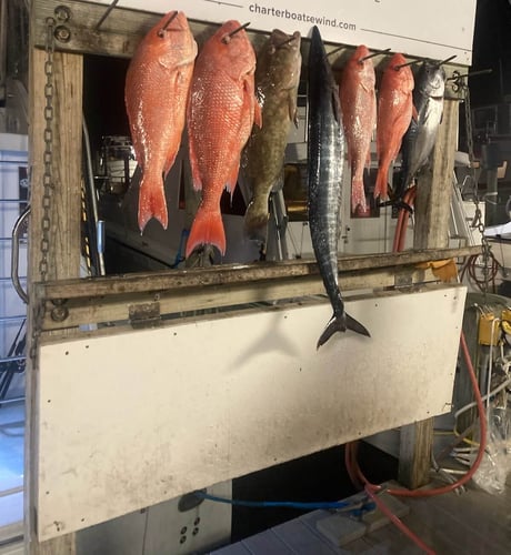 Harbor Hookup: Destin Fishing Fun In Destin