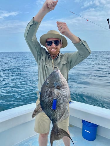 Harbor Hookup: Destin Fishing Fun In Destin