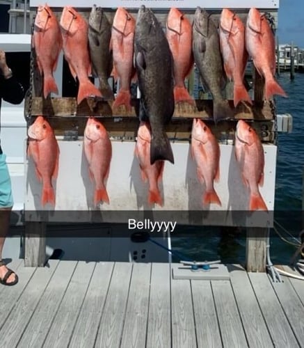 Harbor Hookup: Destin Fishing Fun In Destin