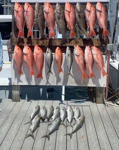 Harbor Hookup: Destin Fishing Fun In Destin