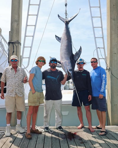 Harbor Hookup: Destin Fishing Fun In Destin