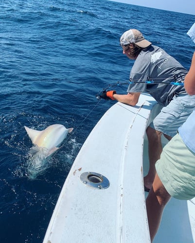 Harbor Hookup: Destin Fishing Fun In Destin