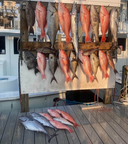 4 Hour Trip - 46’ Egg Harbor In Destin