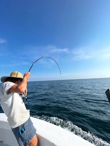 Harbor Hookup: Destin Fishing Fun In Destin