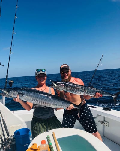 Harbor Hookup: Destin Fishing Fun In Destin