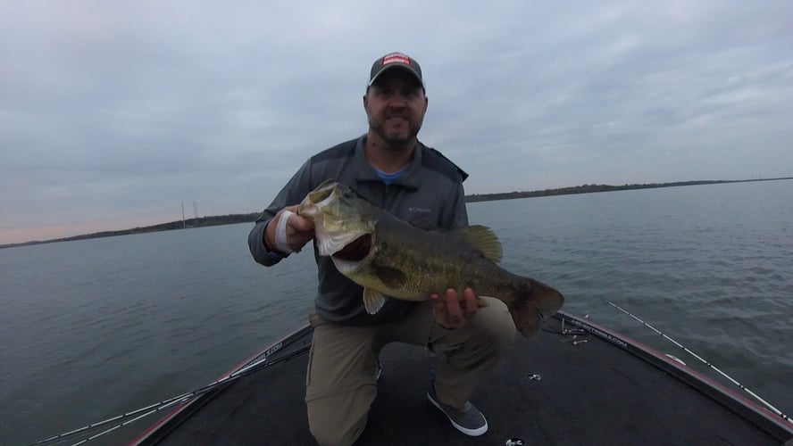 Chasing Bassquatch Texas Bass Trip In Austin