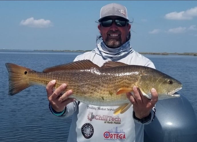 Full Day Or Half-day Inshore Trip In Jacksonville