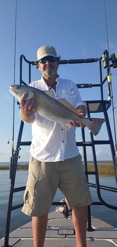 Full Day Or Half-day Inshore Trip In Jacksonville