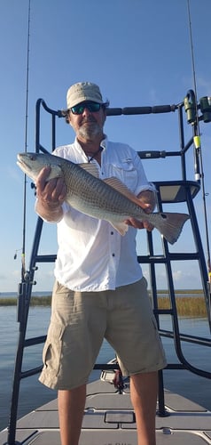 Full Day Or Half-day Inshore Trip In Jacksonville