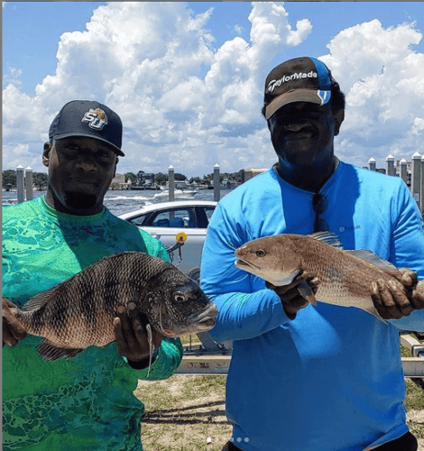 Full Day Or Half-day Inshore Trip In Jacksonville