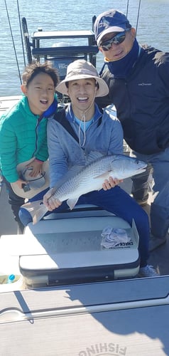 Full Day Or Half-day Inshore Trip In Jacksonville