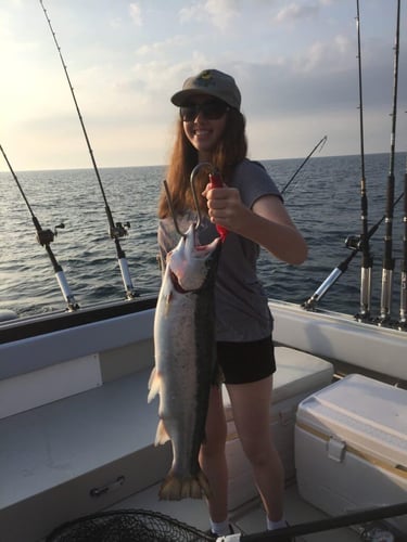 Lake Ontario Salmon Special In Whitby