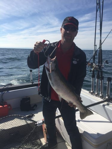 Lake Ontario Salmon Special In Whitby