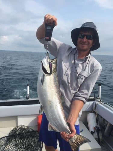 Lake Ontario Salmon Special In Whitby