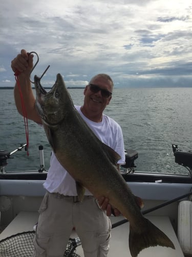 Lake Ontario Salmon Special In Whitby