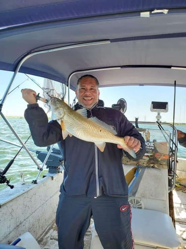 Freshwater Redfish - Calaveras Lake (Weekday Rate)