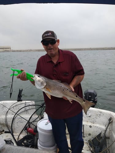 Freshwater Reds - Weekday Trip In San Antonio