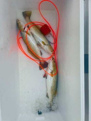 Inshore Fishing Trip in Corpus Christi