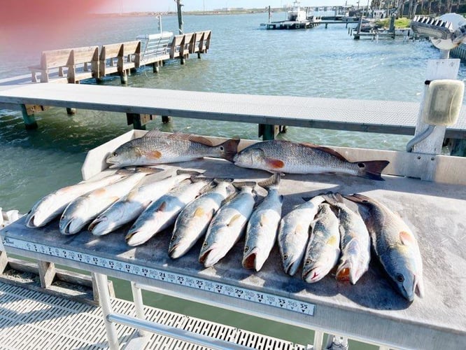 Inshore Fishing Trip in Corpus Christi