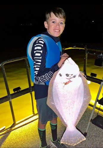 Texas Flounder Gigging Adventure In Galveston