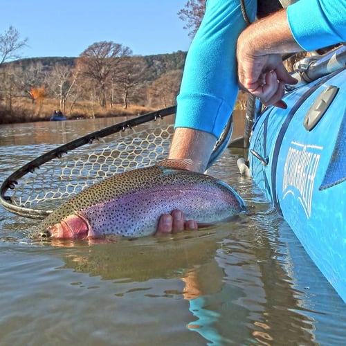 Hill Country Bass & Trout On The Fly In New Braunfels