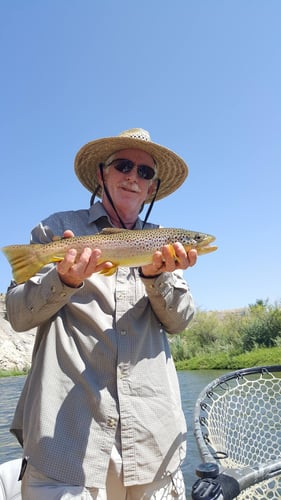Gunnison River Float Trip on the Fly