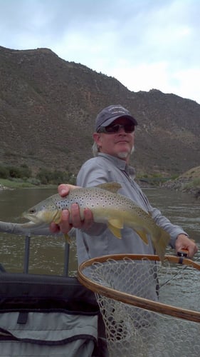 Roaring Fork River Fly Fishing In Basalt