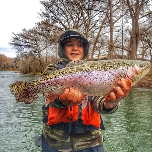 Hill Country Bass & Trout On The Fly In New Braunfels