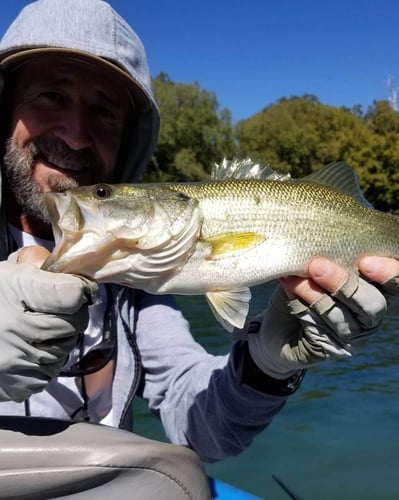 Gunnison River On The Fly In Orchard City