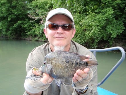 Hill Country Bass & Trout On The Fly In New Braunfels