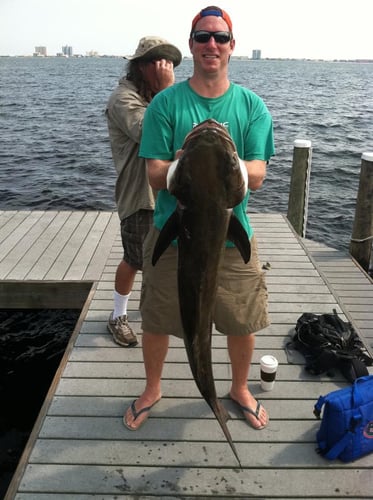 Nearshore Trip - 24’ Hydra-Sports in Pensacola Beach