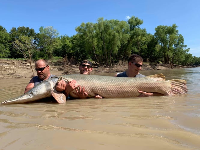 South Texas Alligator Gar Fishing In Dallas