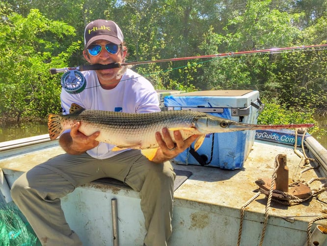 Garzilla Gar Fishing Near Palestine in Palestine