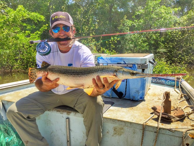 Garzilla Gar Fishing Near Palestine In Palestine