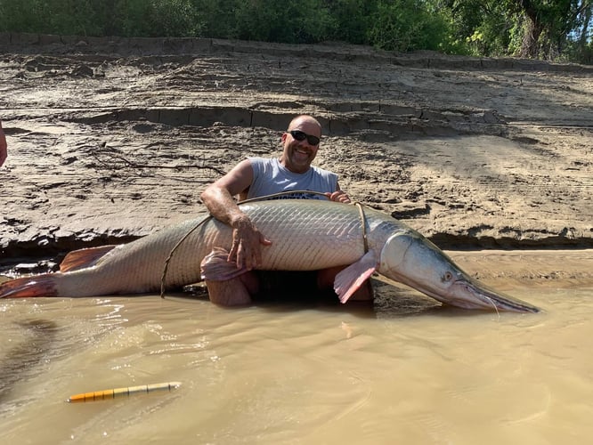 South Texas Alligator Gar Fishing In Dallas