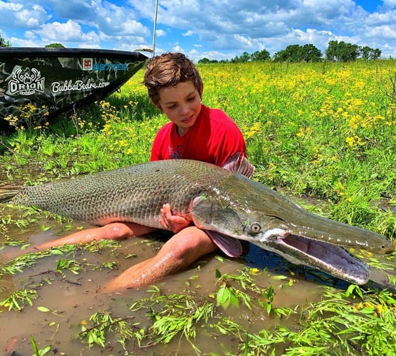 Garzilla Gar Fishing Near Palestine in Palestine